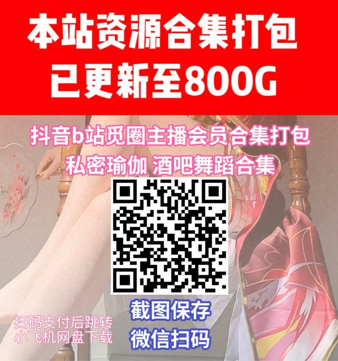 全站资源合集打包800G
